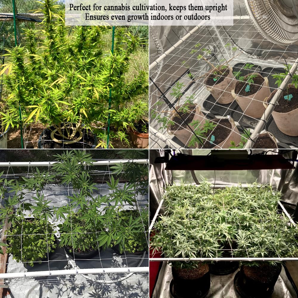 Vocray grow tent use demonstrates versatile indoor vertical gardening.