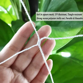 Vocray square mesh 6x6 detail promotes even growth and easy pruning.