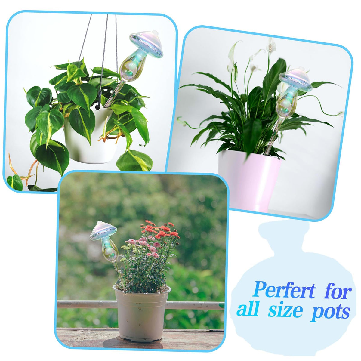 Vodhord durable glass globes suited for hanging and patio plants