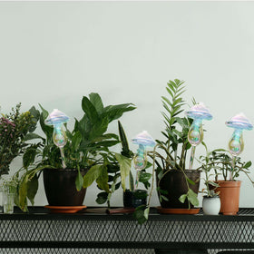 Vodhord gift-ready plant watering bulbs for gardeners