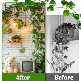 Vodolo chain trellis shown for indoor-outdoor use on a wall