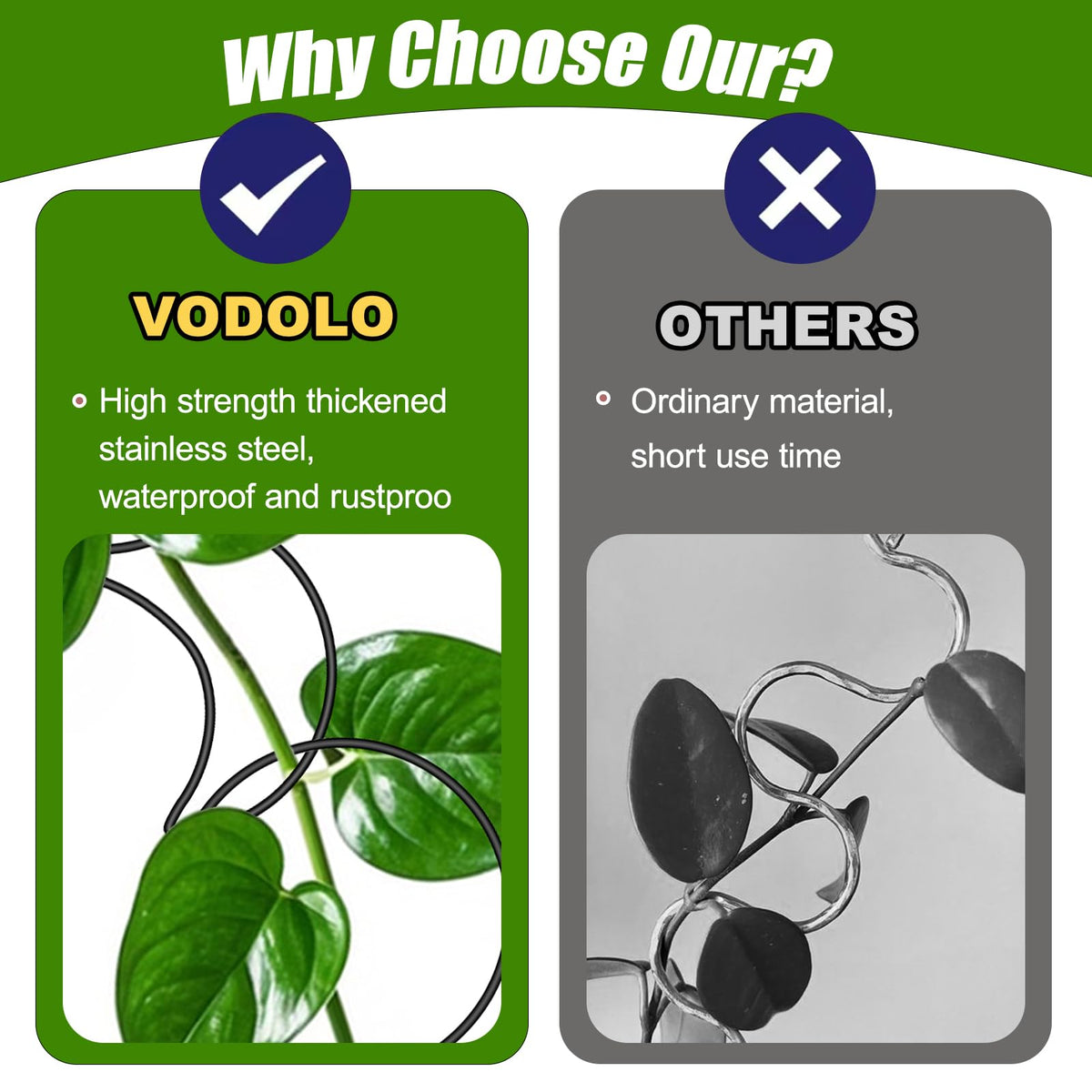 Vodolo sun-and-moon wheel connections guiding vine growth