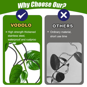 Vodolo sun-and-moon wheel connections guiding vine growth