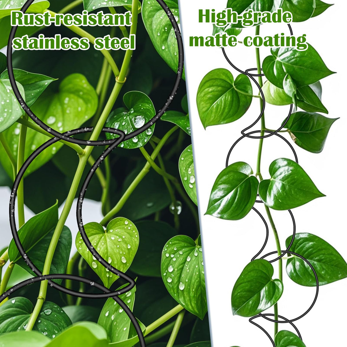 Vodolo wall-mounted plant trellis installation for climbing plants