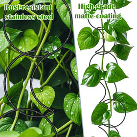 Vodolo wall-mounted plant trellis installation for climbing plants