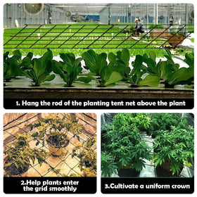 Voittoze trellis net vine support helps vines climb efficiently.