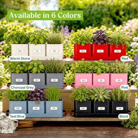 Volila card set for labeling and organizing herbs
