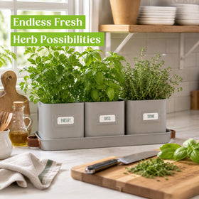 Volila compact kitchen herb garden on a sill