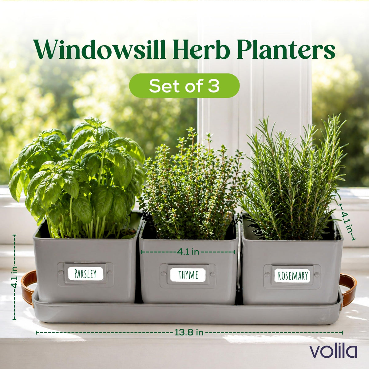 Volila leather-handled tray close-up for portable herb display