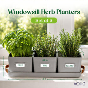 Volila leather-handled tray close-up for portable herb display