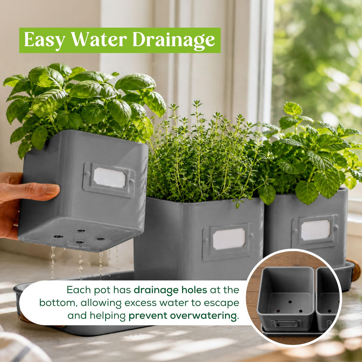 Volila pots with drainage holes for healthy indoor herbs