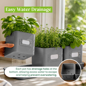 Volila pots with drainage holes for healthy indoor herbs