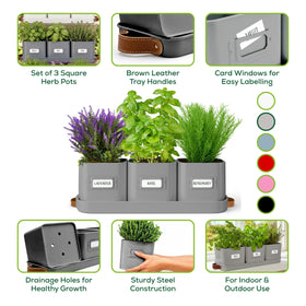 Volila windowsill garden setup with grey herb pots