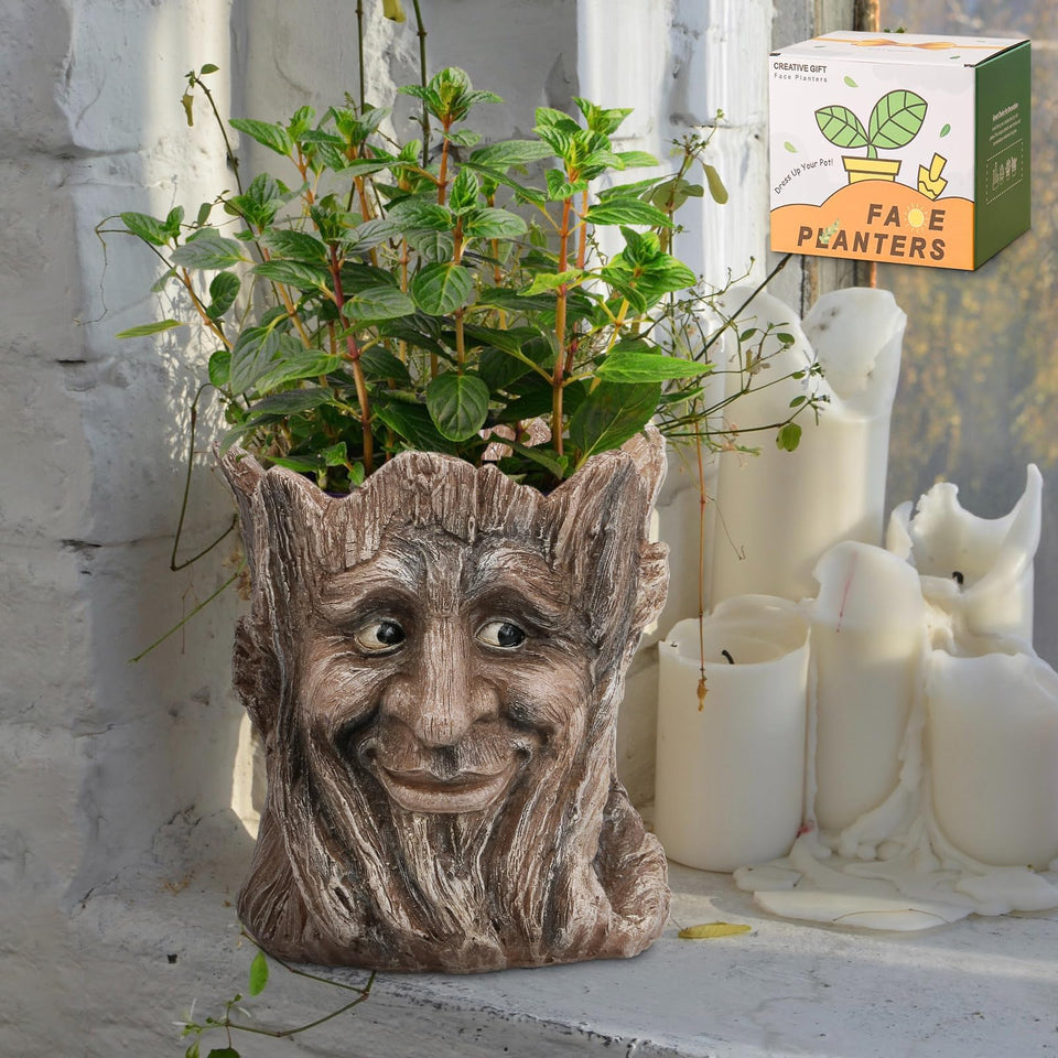 Vomiceak face planter with funny smile adds whimsy to indoor spaces.