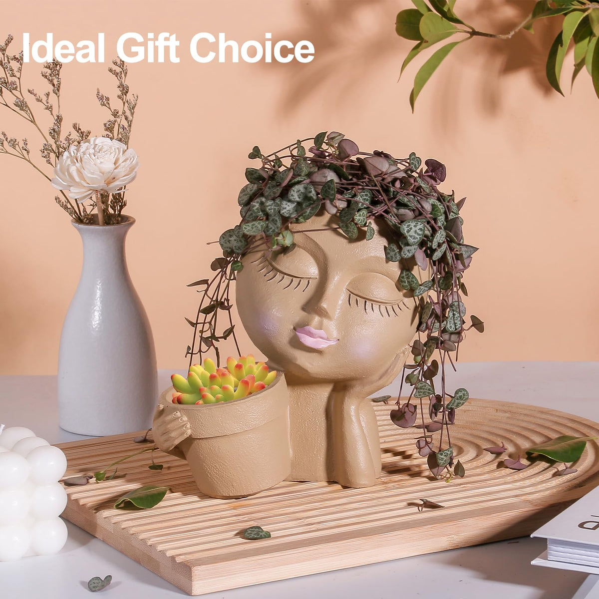 vomiceak head planter suits small succulents, herbs, and air plants