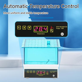 Vosaplk incubator transparent window for easy observation during incubation.