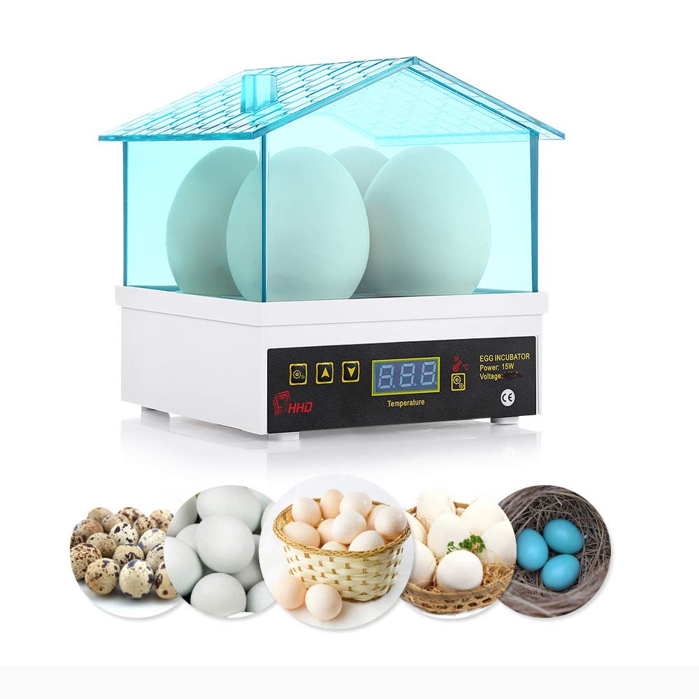 Vosaplk educational hatch demo suitable for classrooms and family learning.