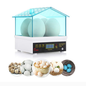 Vosaplk educational hatch demo suitable for classrooms and family learning.