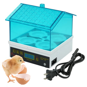 Vosaplk egg-tray water tray setup helps maintain humidity levels.