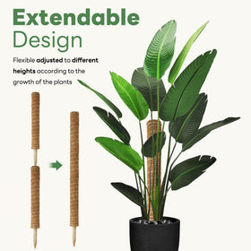 Vosyinm reinforced wooden stake under moss pole for stability