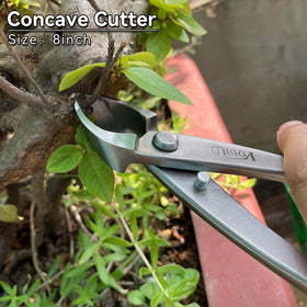 VOUIU knob cutter in action for shaping bonsai branches