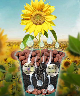 Voulosimi grow medium demonstrates long-life natural material for durable substrates.