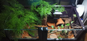 Voulosimi soil additive balances nutrients and supports healthy root development.