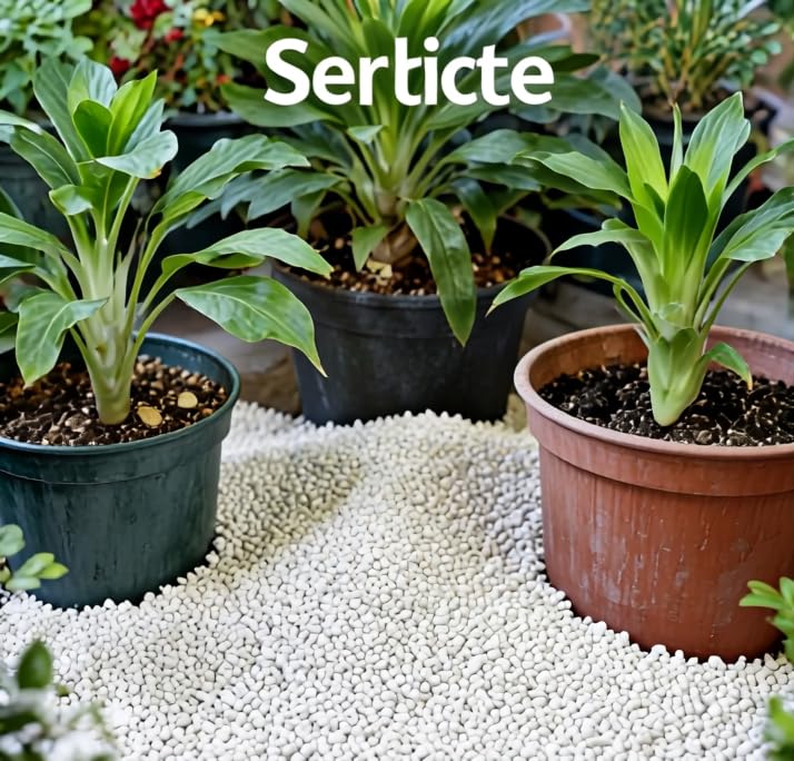 Voulosimi Perlite provides a clean, decorative texture in mixes.