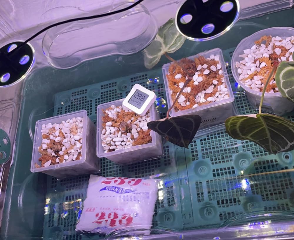 Voulosimi perlite hydroponics application closeup shows nutrient-friendly environment.