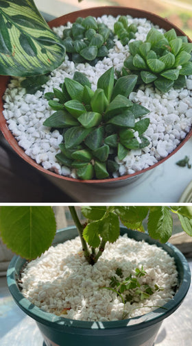 Voulosimi perlite neutral pH 7 closeup indicates stable soil chemistry.