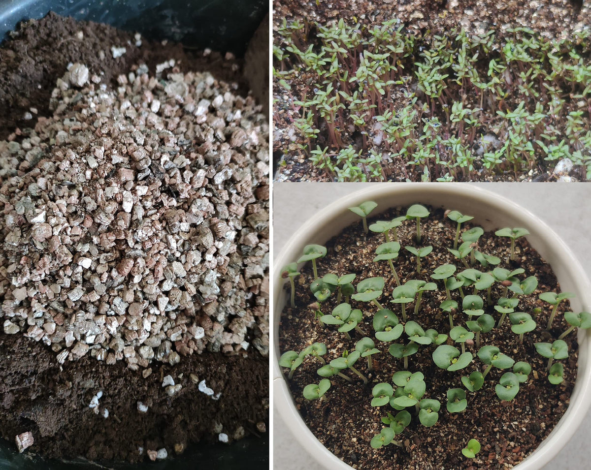 12-quart Voulosimi vermiculite bag ready for home gardens.