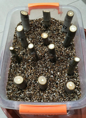 Voulosimi vermiculite durable porosity image enhancing soil drainage.