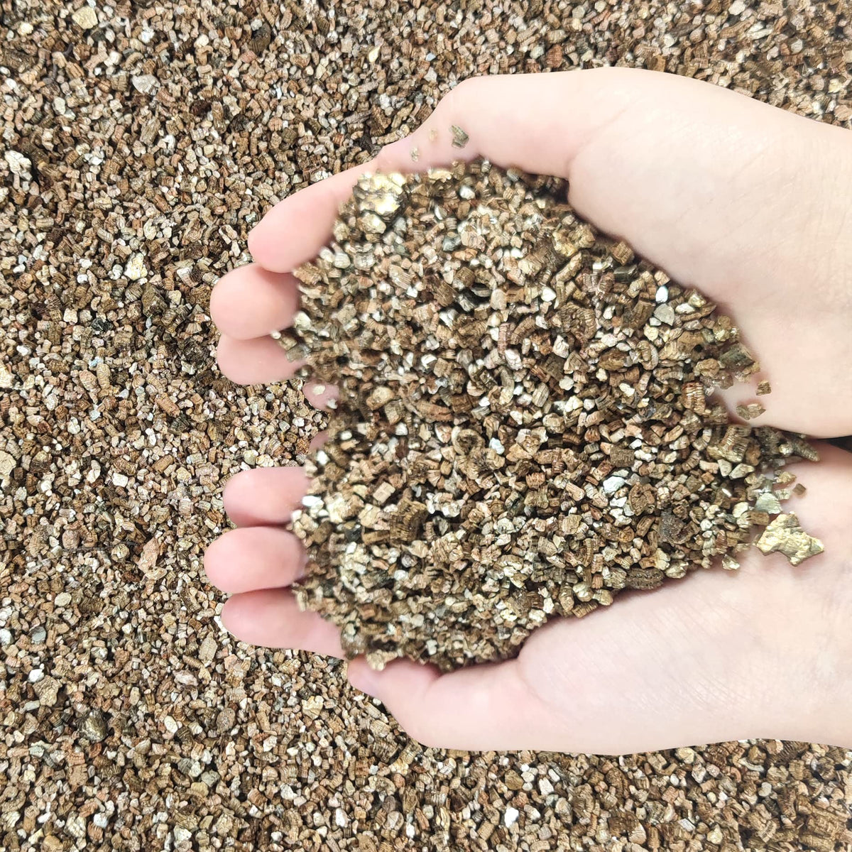 Voulosimi vermiculite granules in packaging improve moisture retention for thriving plants.