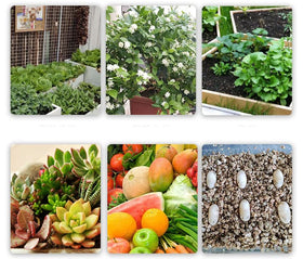 Voulosimi vermiculite holds soil nutrients for plants.
