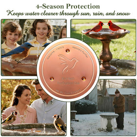 Vovkokc copper disk works all weather, maintaining water cleanliness year round