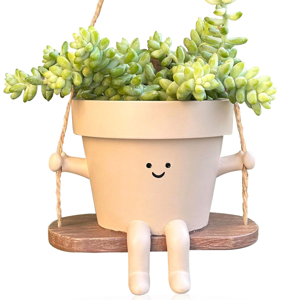 Vovkokc Swing Face Planter hanging indoors for cheerful decor