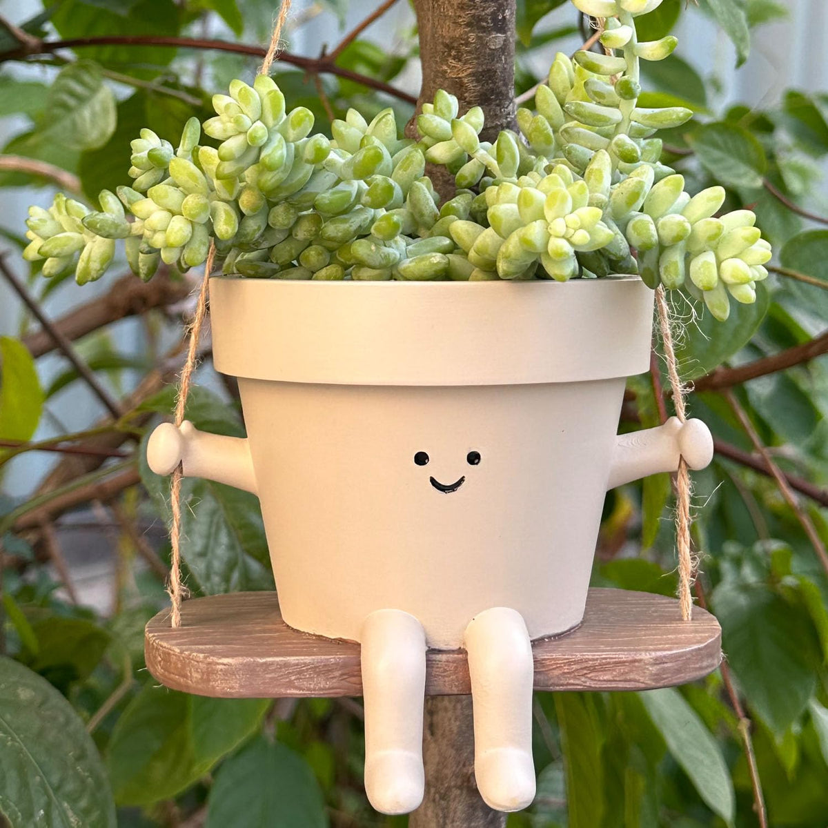 Vovkokc Swing Face Planter on a hook adds playful outdoor charm