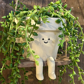 Vovkokc Swing Face Planter pairs with String of Pearls plants