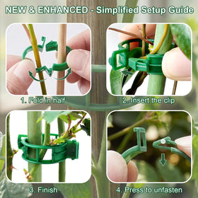 VPWHY cucumber and pepper vines fixed with clips for neat rows