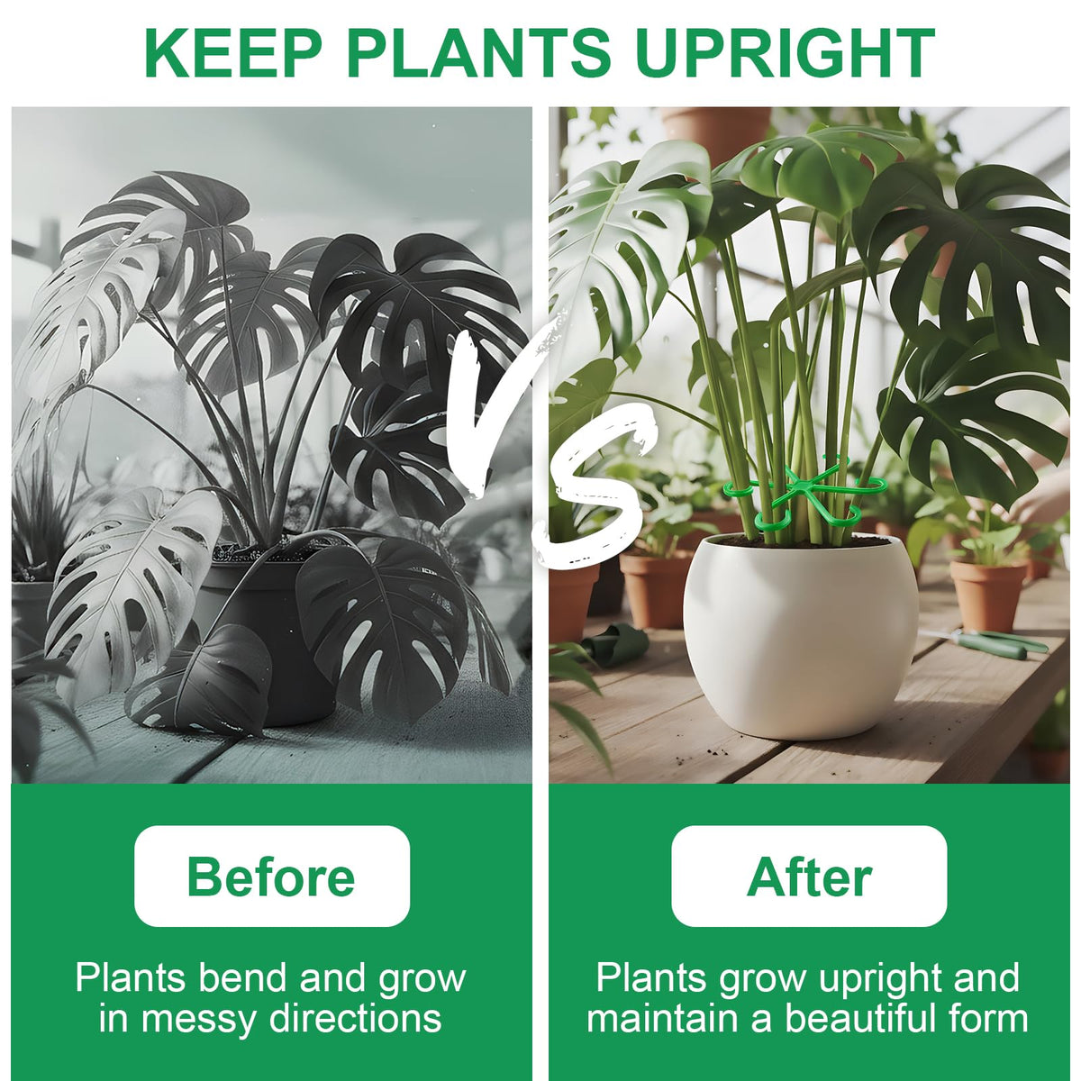 VPWHY weather-resistant plant holders endure outdoors and provide reusable seasonal support.