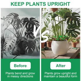 VPWHY weather-resistant plant holders endure outdoors and provide reusable seasonal support.