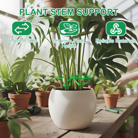 VPWHY no-tools clip design clips around stems for quick growth adjustments.
