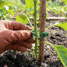 VPWHY garden clips ideal for balconies and greenhouses
