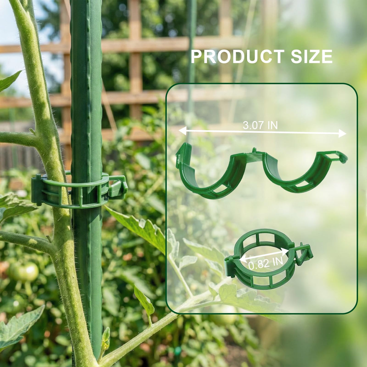 VPWHY grape vine clips keeping vines steady on a trellis