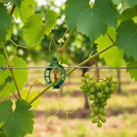 Green VPWHY clips secure plant stems to stakes for upright growth
