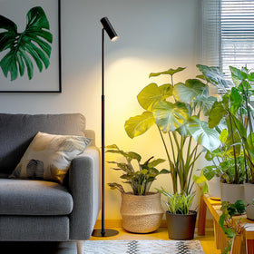 VShape full-spectrum light supports seedlings and herbs for growth.