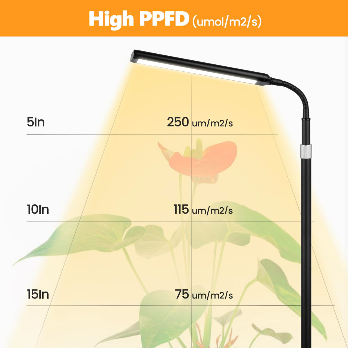 Vsoke Grow Light auto timer maintains consistent daily lighting.