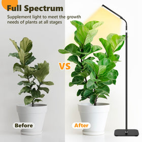 Vsoke Grow Light ideal for seedlings, herbs, succulents, and tall houseplants.