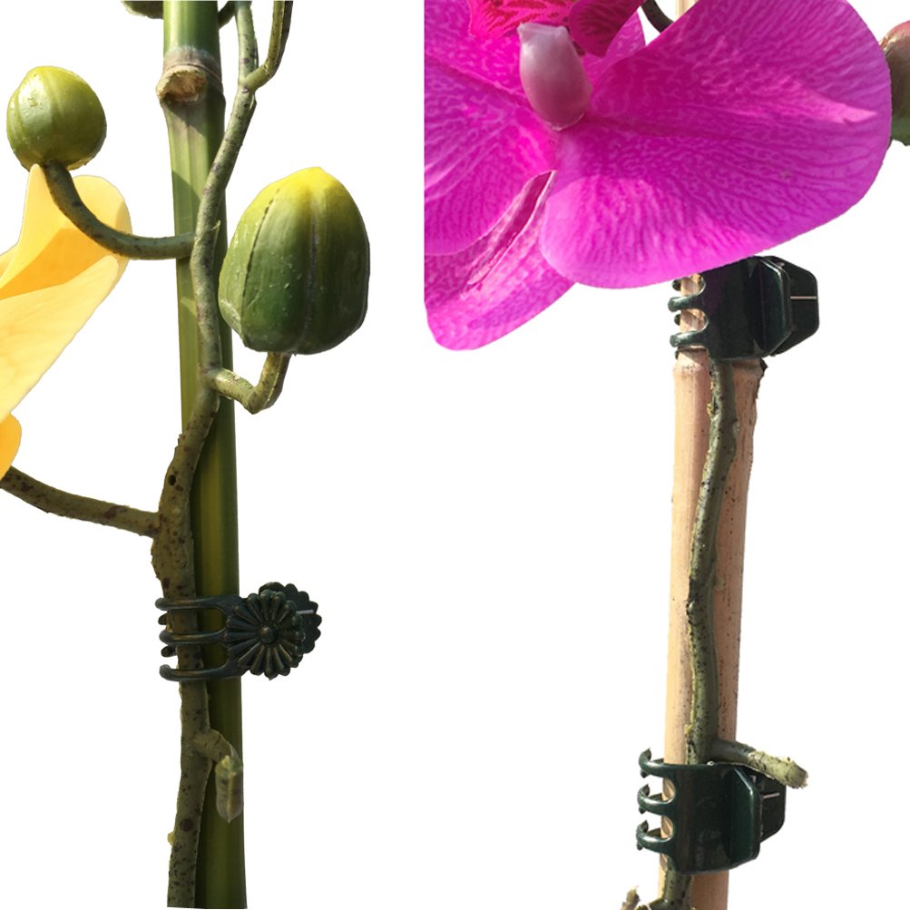 Vtete daisy plant clip small size versatile for many climbing plants