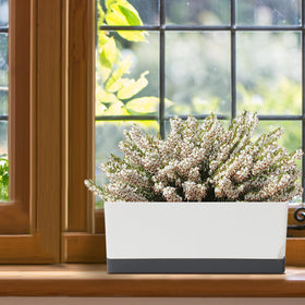 Vugosson dark gray tray catches excess water for neat setup.